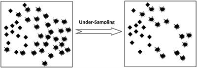 Optimization of Skewed Data Using Sampling-Based Preprocessing Approach